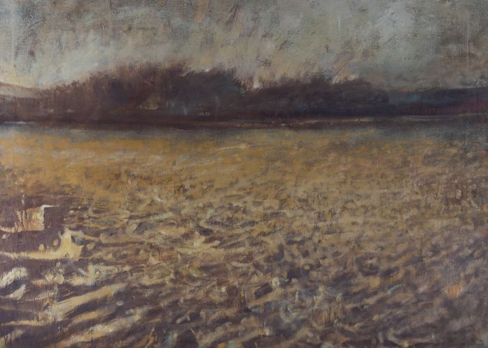 Morris - Contemporary Oil, Stubble Field