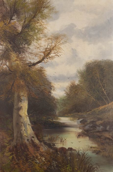 J. Williamson - Early 20th Century Oil, Silver Beech on the Banks of the Dee