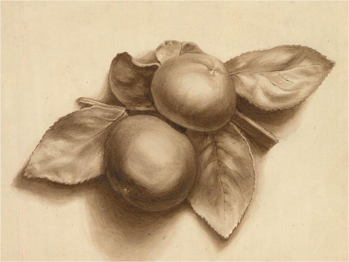 Early 20th Century Watercolour - Apples and Leaves
