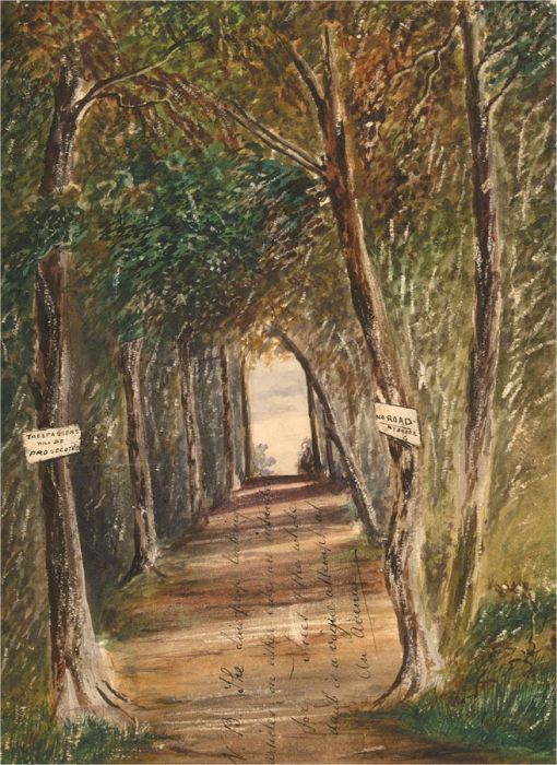 Four Early 20th Century Watercolour - Trees and and Still Life