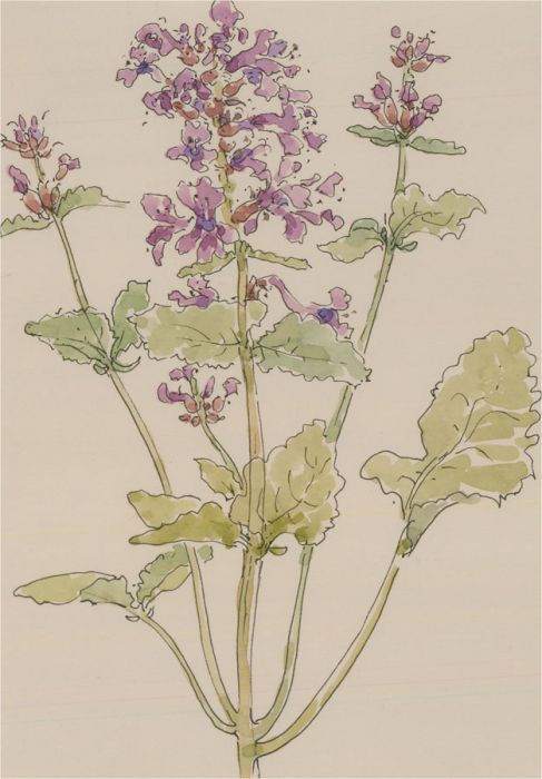 Jill Dickin - 1998 Watercolour, Lilac Flowers