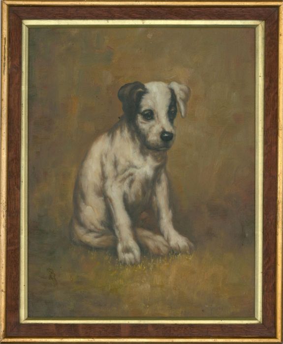 Contemporary Oil - Bemused Puppy