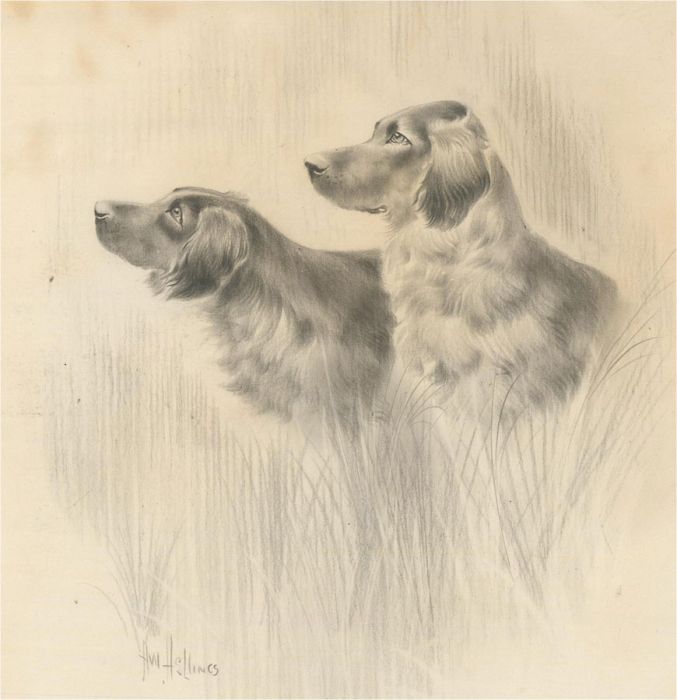 H. W. Hellings (1873-1948) - Early 20th Century Graphite Drawing, Dog Study
