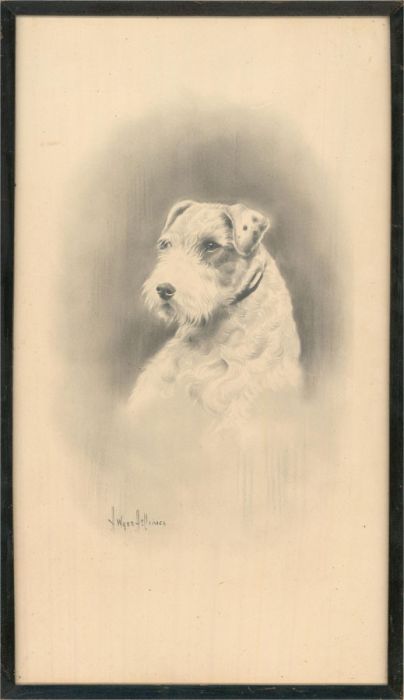 Herbert Wynn Hellings (1873-1948) - Graphite Drawing, Noble Terrier