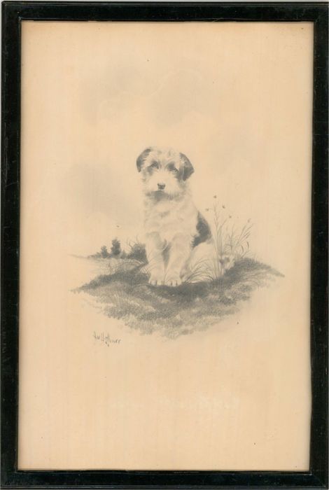 Herbert Wynn Hellings (1873-1948) - Early 20th Century Graphite Drawing, Terrier