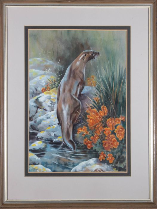 Mary Elliott Lacey (1923-2004) - 20th Century Watercolour, Otter