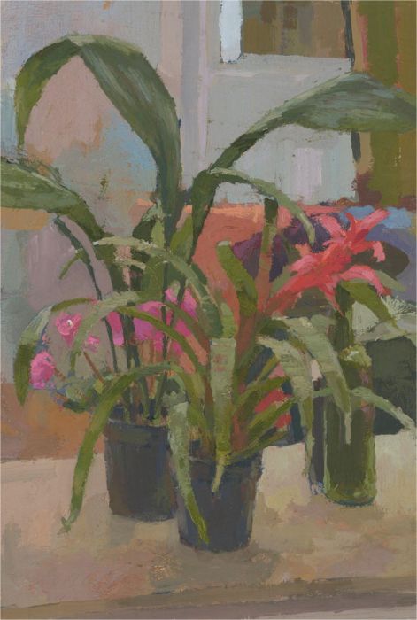 Contemporary Oil - Potted House Plants
