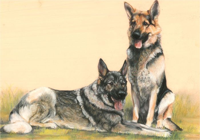 P.A. Cottee - Contemporary Chalk Pastel, Two German Shepherds