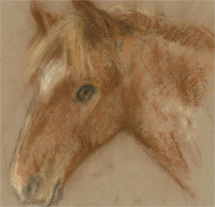 Diana M. Perowne (1934-2020) - 20th Century Pastel, Chestnut with Stripe
