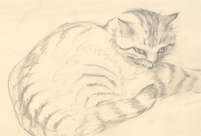 Julie Collino - Set of Five 20th Century Graphite Drawing, Cat Studies