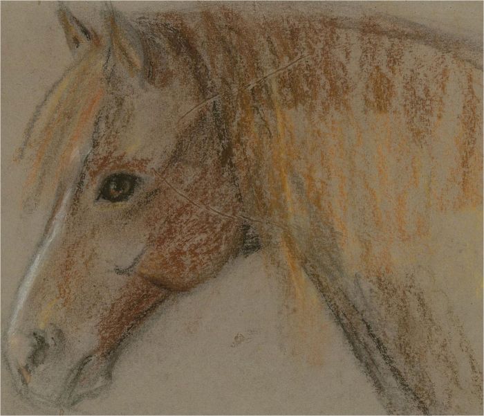 Diana M. Perowne (1934-2020) - Five 20th Century Pastels, Equine Portraits