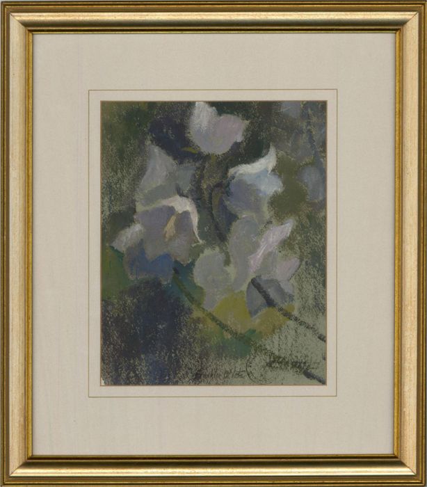 Franklin White (1892-1975) - Mid 20th Century Oil, White Campanula