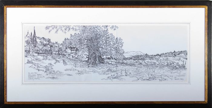 Sandy Nairne  - 2009 Pen and Ink Drawing, An Olive Tree