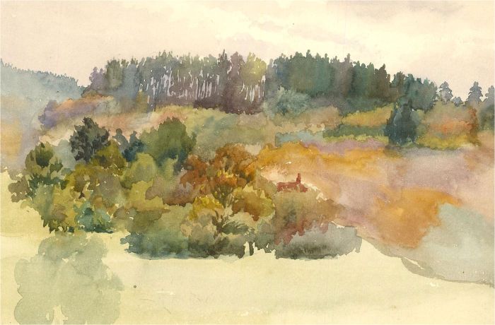 Early 20th Century Watercolour - Forest Study