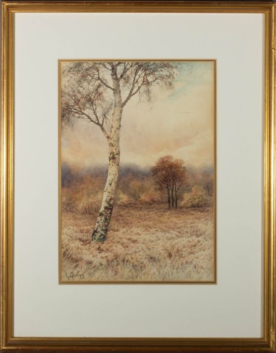 Paul Bertram (1868-1951) - Early 20th Century Watercolour, Silver Birch