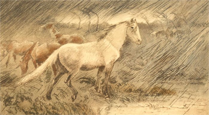 Alexander Hellier Berens (1865–1959)-Late 19thC Etching, Wild horses In The Rain