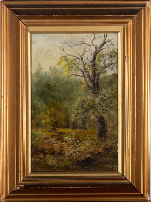 W.F. Hatfield - 1919 Oil, Woodland Clearing