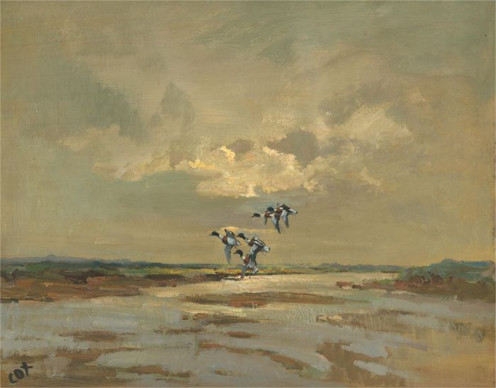 C. O. T.  - 20th Century Oil, Flying Ducks