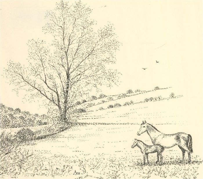 J.A. Pusey - 1992 Pen and Ink Drawing, Near Harting