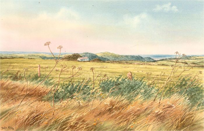 Della Riley - Contemporary Watercolour, Day-O-Peep Farm, Instow