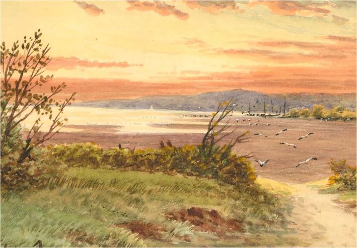 F.B. Ward - Early 20th Century Watercolour, Flying Seagulls