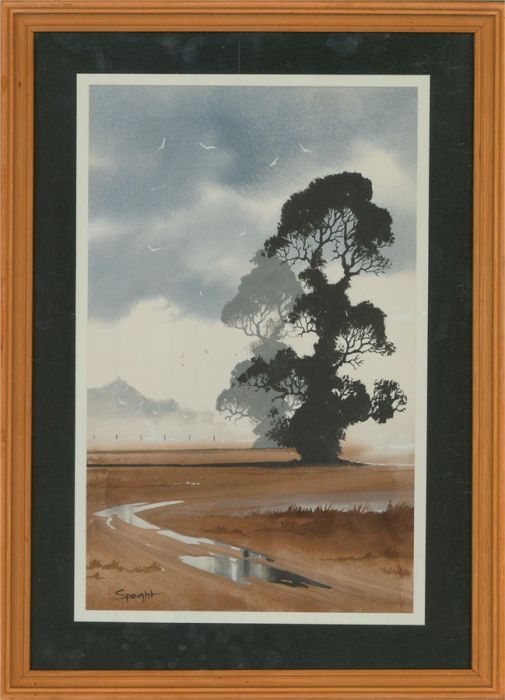 Jo Speight  - 1980 Watercolour, Reflections