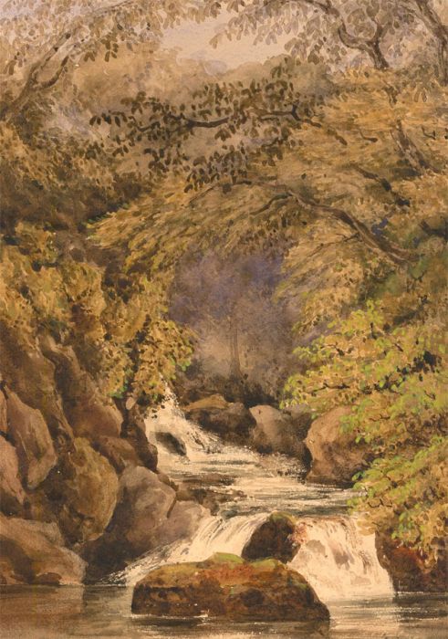 Mary Carpenter  - 1861 Watercolour, Dargle River, Dublin