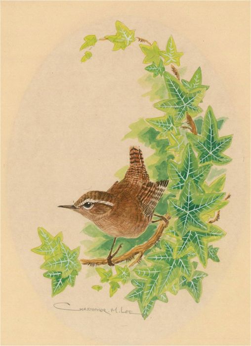 Christopher M. Lee - 1980 Watercolour, Bird on Tree Branch