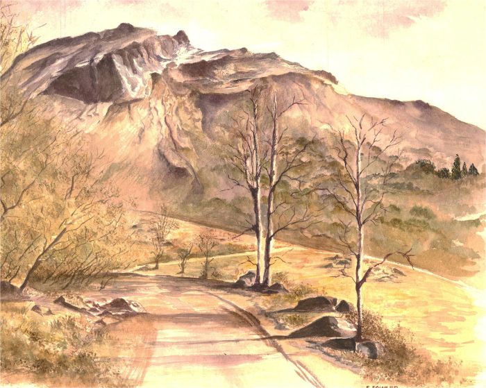 E. Fowler - Contemporary Watercolour, Mountain Road