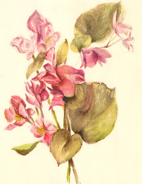 E. Fowler - Contemporary Watercolour, Pink Flowers