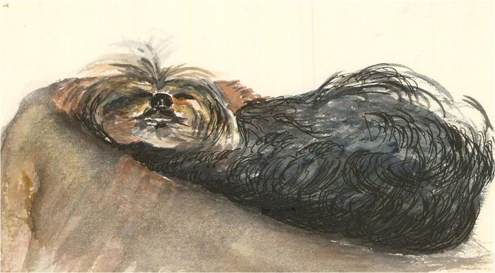 E. Fowler - Contemporary Watercolour, Tango the Terrier