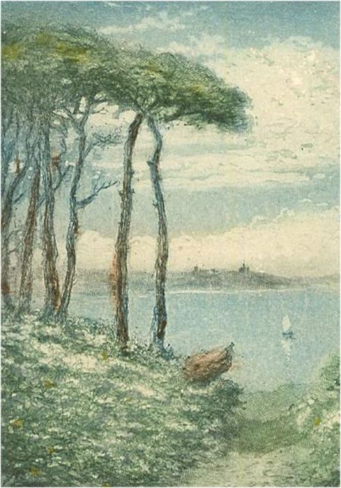 Claude H. Rowbotham (1864-1949) - Early 20th Century Aquatint, Bluebells