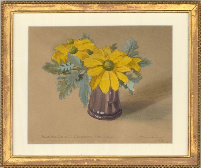 Alexander Bayes - 1975 Watercolour, Rudbeckia Daisies