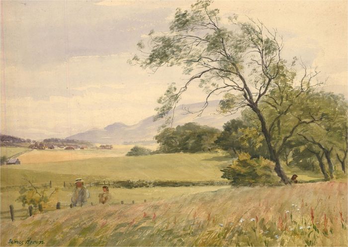 James Heron (fl.1878-1919) - Late 19th Century Watercolour, Wildflower Meadow