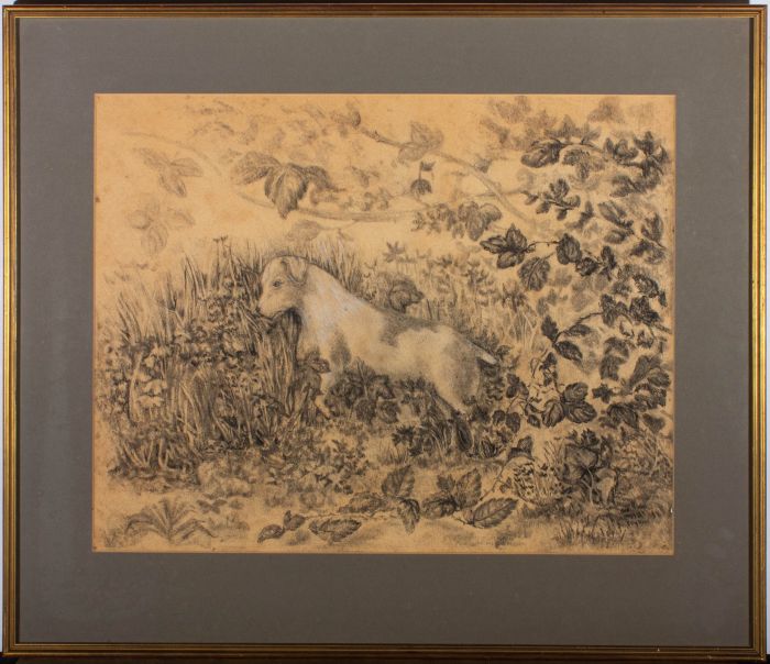Anne Said (1914-1995) - Mid 20th Century Charcoal Drawing, Dog In Undergrowth
