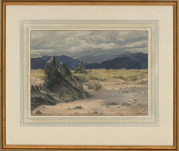 Meredith William Hawes (1905-1999) - 1992 Gouache, Driftwood