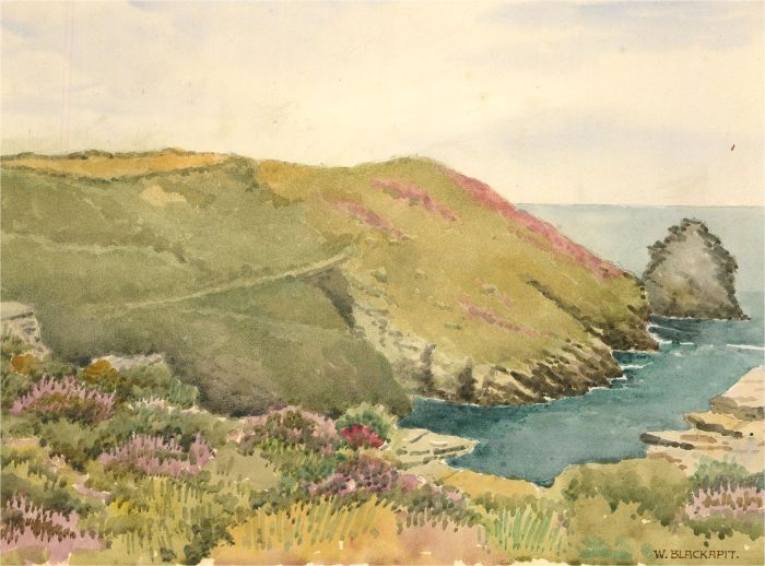 Raymond Turner Barker (1872-1945) - 1931 Watercolour, Western Blackapit