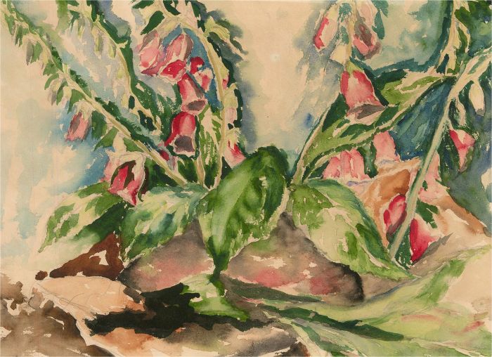 Mid 20th Century Watercolour - Foxgloves