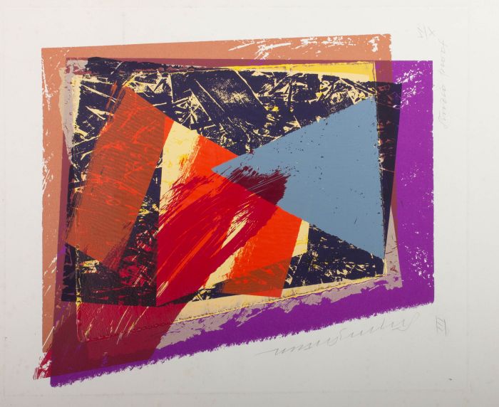 Contemporary Silkscreen - Geometric Colours