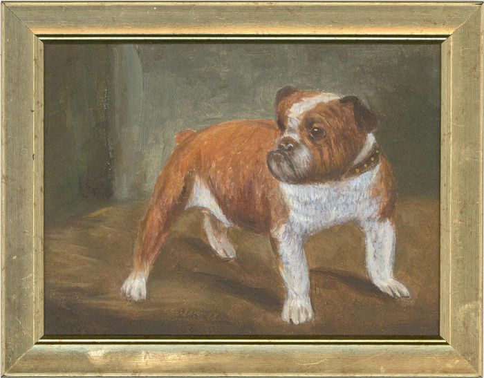 20th Century Oil - English Bulldog