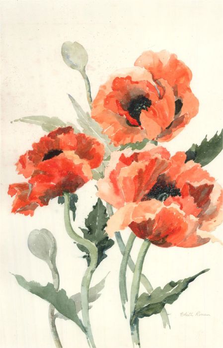 Edith Ronan - Signed Mid 20th Century Watercolour, Study of Poppies