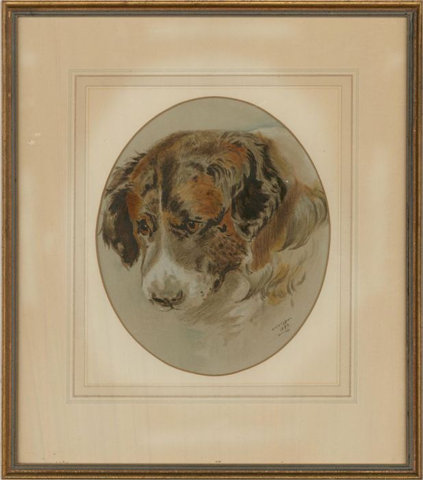 W. A. Crippen - 1890 Watercolour, St Bernard
