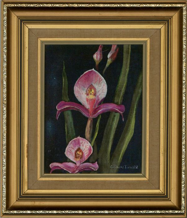 Colin Turner - Contemporary Oil, Pink Irises