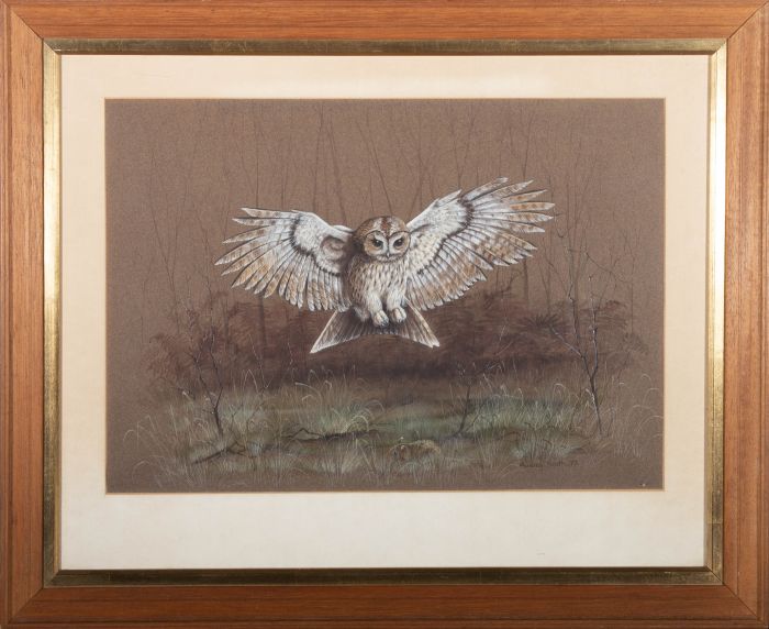 Audrey North  - 1977 Watercolour, The Barn Owl's Catch