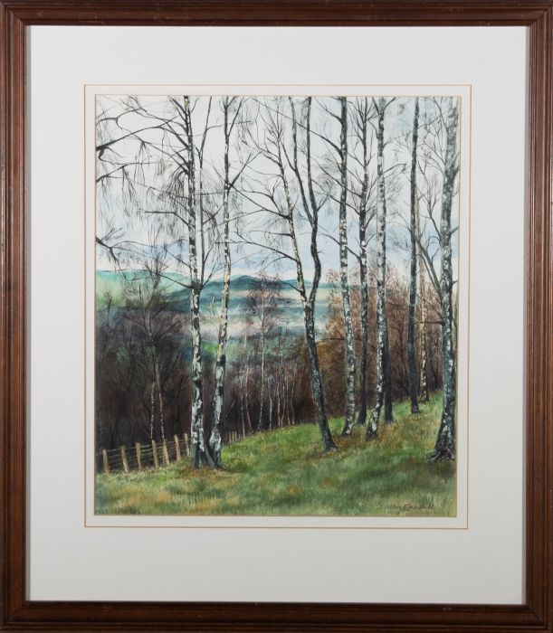 Sally E. Kerall  - 20th Century Watercolour, Birch Trees