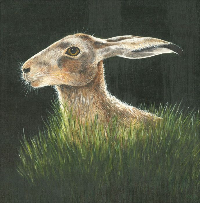 L. R.  - 2005 Oil, Hare