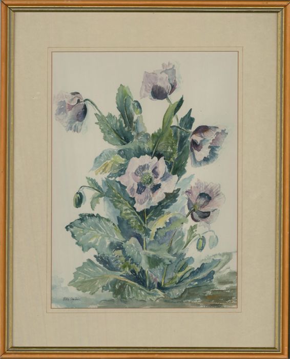 Elke Squibbs  - 20th Century Watercolour, Garden Poppies
