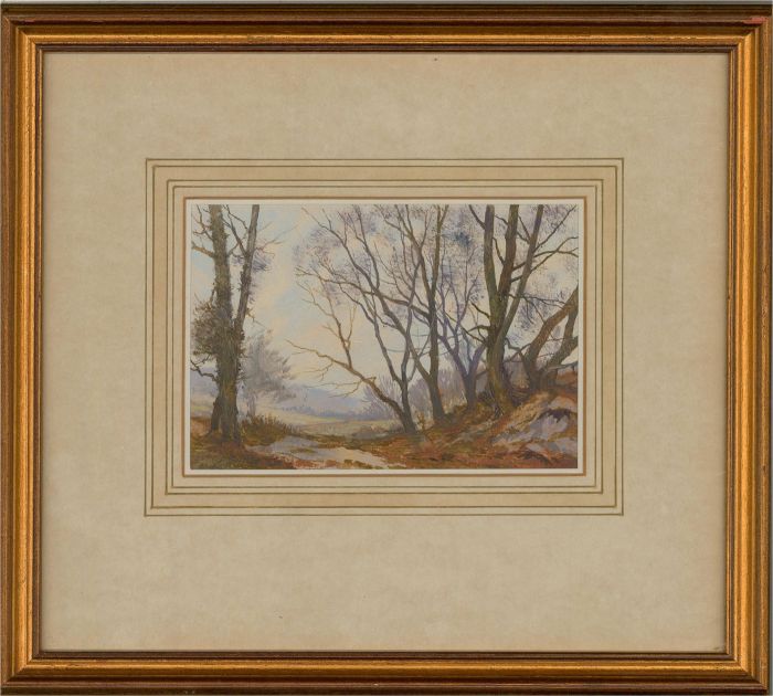 Gerald Hughes  - 20th Century Watercolour, Old Copse