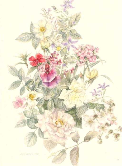 Jane Wormell (b.1960) - 1985 Watercolour, Garden Flowers