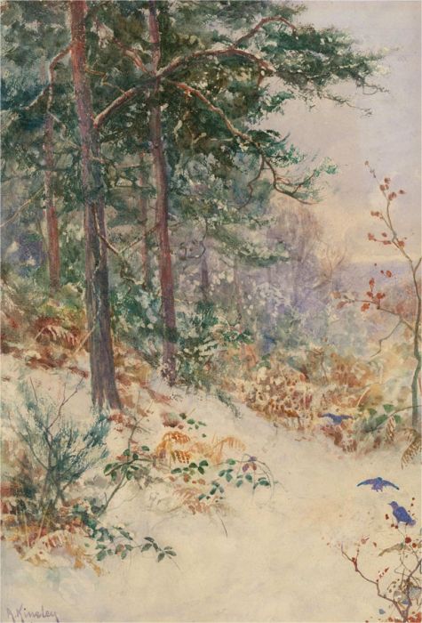 Albert Kinsley RI RBA (1852-1945) - Watercolour, Winter in the Firwoods, Surrey